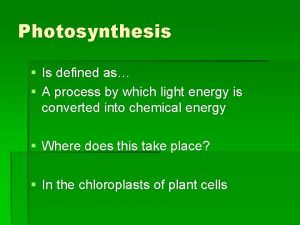 Chlorophyll is