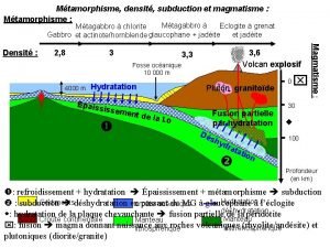 Mtamorphisme densit subduction et magmatisme Mtamorphisme Mtagabbro Eclogite