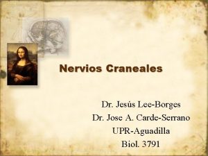 Nervios Craneales Dr Jess LeeBorges Dr Jose A
