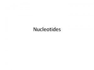 Building blocks of nucleic acids