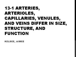 Arterioles capillaries venules