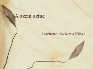 A szem szne ksztette Szekeres Kinga Mitl fgg