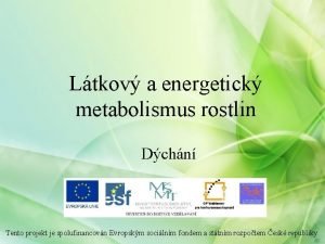 Látkový a energetický metabolismus