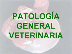 PATOLOGA GENERAL VETERINARIA Tumefaccin Turbia rgano aumentado de