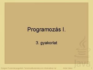 Programozs I 3 gyakorlat Szegedi Tudomnyegyetem Termszettudomnyi s