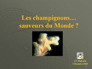 Les champignons sauveurs du Monde JL Mainardi 5