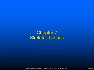 Chapter 7 Skeletal Tissues Mosby items and derived