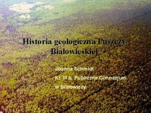 Historia geologiczna Puszczy Biaowieskiej Joanna Schmidt Kl III