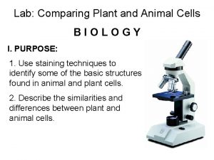 Lab Comparing Plant and Animal Cells BIOLOGY I