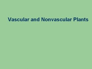 Vascular and Nonvascular Plants Nonvascular Plants Do not