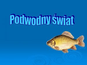 Ryby słonowodne w polsce Ryby słonowodne w polsce