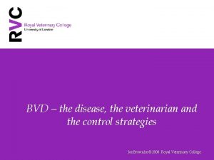 BVD the disease the veterinarian and the control