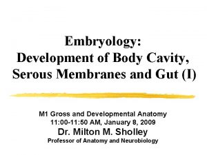 Embryology Development of Body Cavity Serous Membranes and