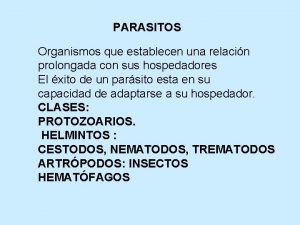 Ciliados