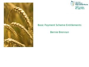 Basic Payment Scheme Entitlements Bernie Brennan Entitlement Reference
