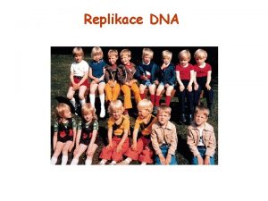 Replikace DNA Jsou monozygotn dvojata identick vyvinula se