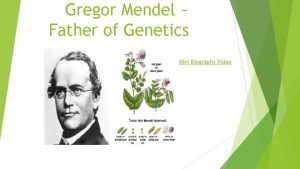 Gregor Mendel Father of Genetics Mini Biography Video