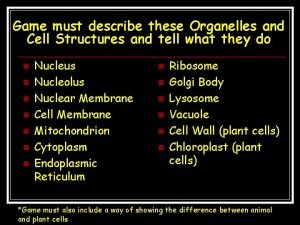 Cell organelle game