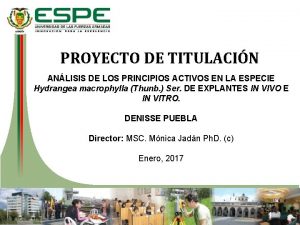 PROYECTO DE TITULACIN ANLISIS DE LOS PRINCIPIOS ACTIVOS