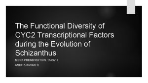 The Functional Diversity of CYC 2 Transcriptional Factors
