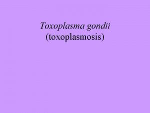 Toxoplasma gondii toxoplasmosis Introduction Toxoplasma gondii has very