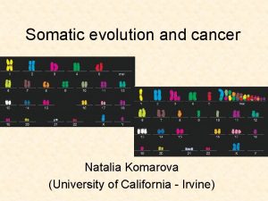 Somatic evolution and cancer Natalia Komarova University of