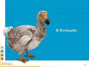 Aloitussivu III Evoluutio Otava BI 1 III Evoluutio