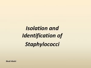 Isolation and Identification of Staphylococci Shadi Alashi Gram