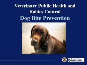 Veterinary Public Health and Rabies Control Dog Bite