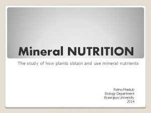Mineral NUTRITION The study of how plants obtain