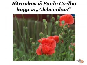 Paulo coelho knygos