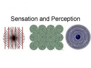 Sensation and Perception Chapter 6 Sensation vs Perception