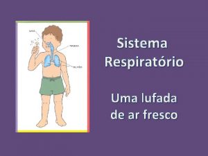 Sistema Respiratrio Uma lufada de ar fresco Sistema