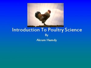 Introduction To Poultry Science By Akrum Hamdy The
