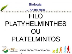 Biologia Prof Andr Maia FILO PLATYHELMINTHES OU PLATELMINTOS