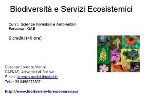 Biodiversit e Servizi Ecosistemici Curr Scienze Forestali e