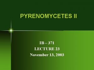 PYRENOMYCETES II IB 371 LECTURE 23 November 13