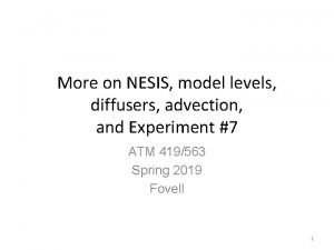 More on NESIS model levels diffusers advection and