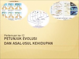 Pertemuan ke12 PETUNJUK EVOLUSI DAN ASALUSUL KEHIDUPAN Kompetensi