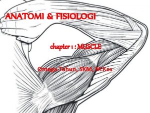 ANATOMI FISIOLOGI chapter 1 MUSCLE Omega Tahun SKM
