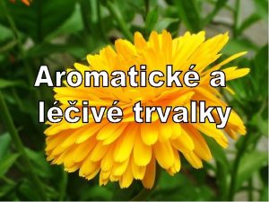 Aromatick rostliny rostliny obsahujc vonn silice pouit pprava