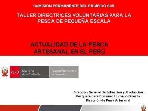 COMISIN PERMANENTE DEL PACFICO SUR TALLER DIRECTRICES VOLUNTARIAS