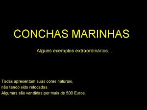 CONCHAS MARINHAS Alguns exemplos extraordinrios Todas apresentam suas