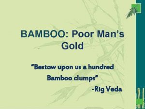 BAMBOO Poor Mans Gold Bestow upon us a