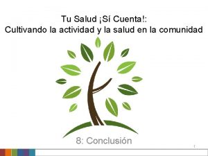 Tu Salud S Cuenta Cultivando la actividad y