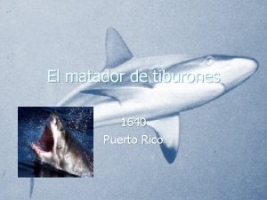 El matador de tiburones leyenda