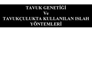 TAVUK GENET Ve TAVUKULUKTA KULLANILAN ISLAH YNTEMLER TAVUK