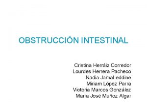 OBSTRUCCIN INTESTINAL Cristina Herriz Corredor Lourdes Herrera Pacheco