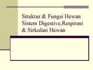 Struktur Fungsi Hewan Sistem Digestive Respirasi Sirkulasi Hewan