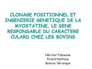 CLONAGE POSITIONNEL ET INGENIERIE GENETIQUE DE LA MYOSTATINE